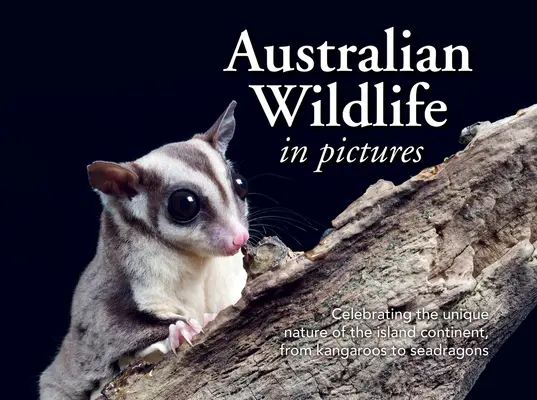 Australische Wildtiere im Bild: Die einzigartige Natur des Inselkontinents, vom Känguru bis zum Seedrachen - Australian Wildlife in Picture: Celebrating the Unique Nature of the Island Continent, from Kangaroos to Sea Dragons