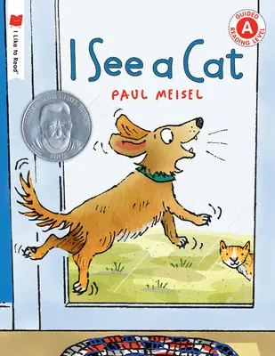 Ich sehe eine Katze - I See a Cat