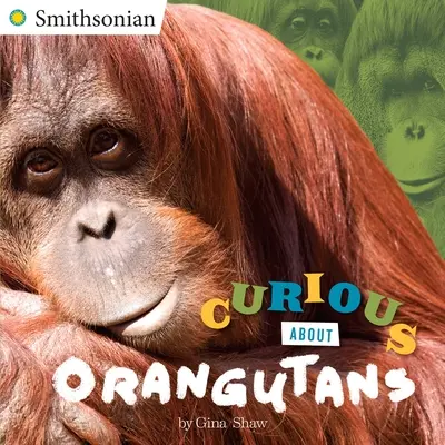 Neugierig auf Orang-Utans - Curious about Orangutans