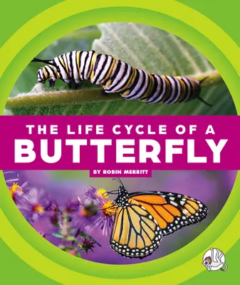 Der Lebenszyklus eines Schmetterlings - The Life Cycle of a Butterfly