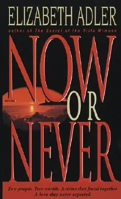 Jetzt oder nie - Ein Roman - Now or Never - A Novel