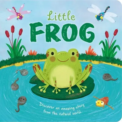 Naturgeschichten: Kleiner Frosch: Gepolstertes Pappbuch - Nature Stories: Little Frog: Padded Board Book