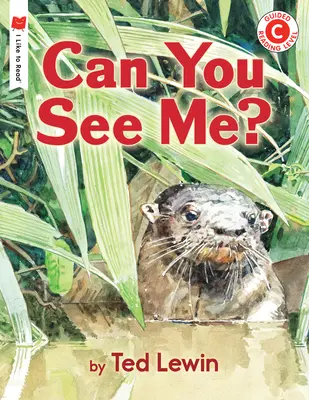 Kannst du mich sehen? - Can You See Me?