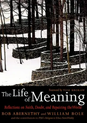 Das Leben des Sinns - Überlegungen zum Glauben, zum Zweifel und zur Reparatur der Welt - Life Of Meaning - Reflections on Faith, Doubt and Repairing the World