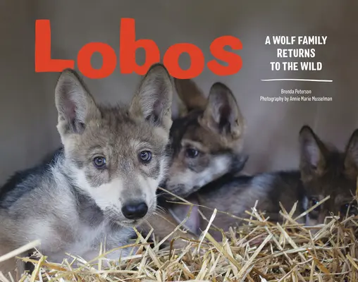 Lobos: Eine Wolfsfamilie kehrt in die Wildnis zurück - Lobos: A Wolf Family Returns to the Wild