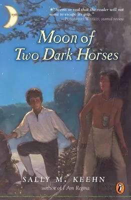 Mond von zwei dunklen Pferden - Moon of Two Dark Horses