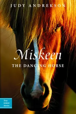 Miskeen - Das tanzende Pferd - Miskeen - The Dancing Horse