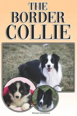 Der Border Collie: Ein kompletter und umfassender Leitfaden für Besitzer: Kaufen, Besitzen, Gesundheit, Pflege, Training, Gehorsam, Verstehen und - The Border Collie: A Complete and Comprehensive Owners Guide To: Buying, Owning, Health, Grooming, Training, Obedience, Understanding and