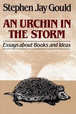 Urchin im Sturm: Essays über Bücher und Ideen - Urchin in the Storm: Essays about Books and Ideas