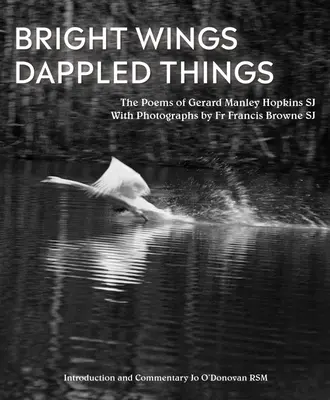 Helle Flügel, schillernde Dinge: Gedichte von Gerard Manley Hopkins Sj & Fotografien von Pater Francis Browne Sj - Bright Wings, Dappled Things: Poems of Gerard Manley Hopkins Sj & Photographs by Fr Francis Browne Sj