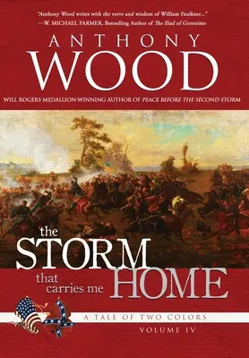 Der Sturm, der mich nach Hause trägt: Eine Geschichte des Bürgerkriegs - The Storm That Carries Me Home: A Story of the Civil War