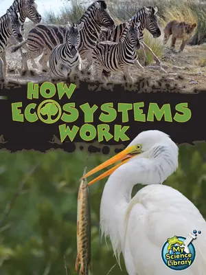 Wie Ökosysteme funktionieren - How Ecosystems Work