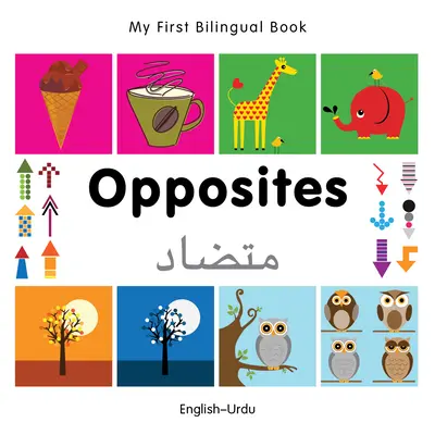 Mein erstes zweisprachiges Buch-Opposites (Englisch-Urdu) - My First Bilingual Book-Opposites (English-Urdu)