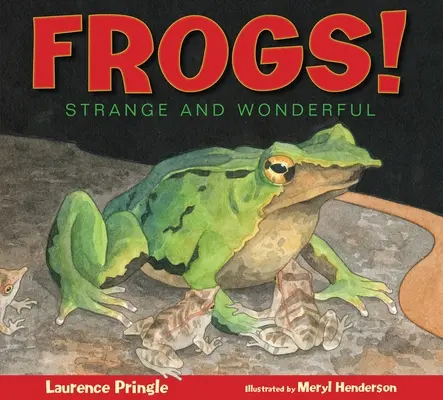 Frösche! Seltsam und wundervoll - Frogs!: Strange and Wonderful