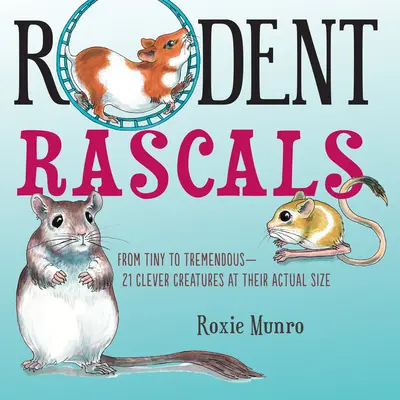 Nagetier Strolche: Clevere Kreaturen in Originalgröße - Rodent Rascals: Clever Creatures at Their Actual Size