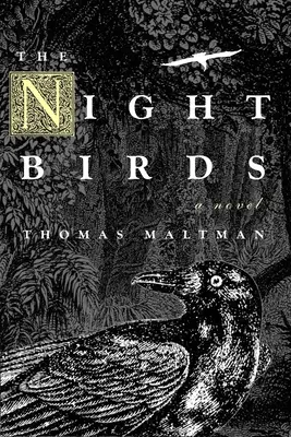 Die Nachtvögel - The Night Birds