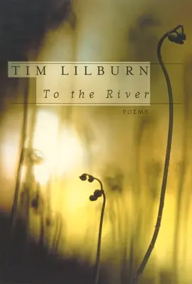 Zum Fluss - To the River