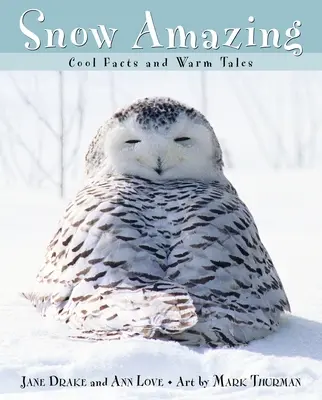 Erstaunlicher Schnee: Coole Fakten und warme Märchen - Snow Amazing: Cool Facts and Warm Tales