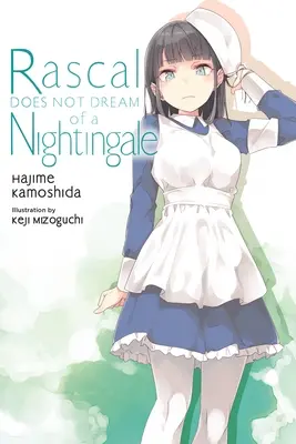 Rascal träumt nicht von einer Nachtigall (Light Novel) - Rascal Does Not Dream of a Nightingale (Light Novel)