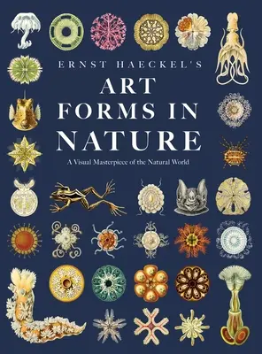 Ernst Haeckel's Kunstformen in der Natur: Ein visuelles Meisterwerk der natürlichen Welt - Ernst Haeckel's Art Forms in Nature: A Visual Masterpiece of the Natural World