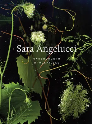 Sara Angelucci: Gestrüpp / Broussailles - Sara Angelucci: Undergrowth / Broussailles