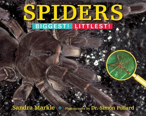 Spinnen: Die Größten! Kleinste! - Spiders: Biggest! Littlest!