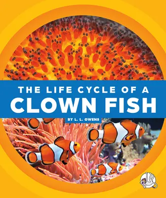 Der Lebenszyklus eines Clownfisches - The Life Cycle of a Clown Fish