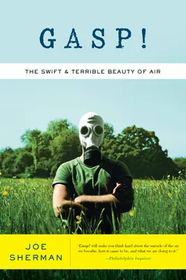 Gasp!: Die rasche und schreckliche Schönheit der Luft - Gasp!: The Swift & Terrible Beauty of Air