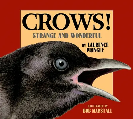 Krähen!: Seltsam und wundervoll - Crows!: Strange and Wonderful