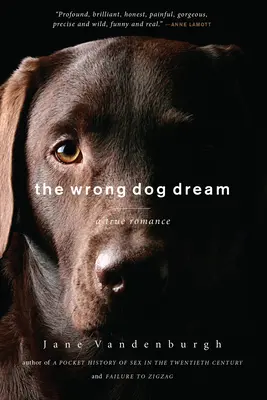 Wrong Dog Dream - Eine wahre Romanze - Wrong Dog Dream - A True Romance