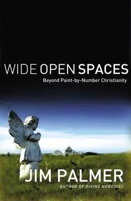 Weite Freiräume: Jenseits des Malen-nach-Zahlen-Christentums - Wide Open Spaces: Beyond Paint-By-Number Christianity