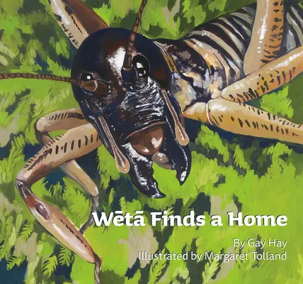 Weta findet ein Zuhause - Weta Finds a Home