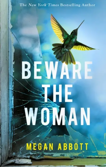 Hüte dich vor der Frau - Der verworrene, unaufhaltsame neue Thriller über Familiengeheimnisse im Jahr 2023 von der New York Times-Bestsellerautorin - Beware the Woman - The twisty, unputdownable new thriller about family secrets for 2023 by the New York Times bestselling author