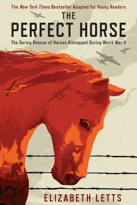 Perfect Horse - Die waghalsige Rettung von im Zweiten Weltkrieg entführten Pferden - Perfect Horse - The Daring Rescue of Horses Kidnapped During World War II