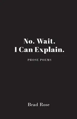 Nein, warten Sie, ich kann das erklären. - No. Wait. I Can Explain.