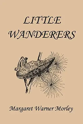 Kleine Wanderer, Illustrierte Ausgabe (Yesterday's Classics) - Little Wanderers, Illustrated Edition (Yesterday's Classics)