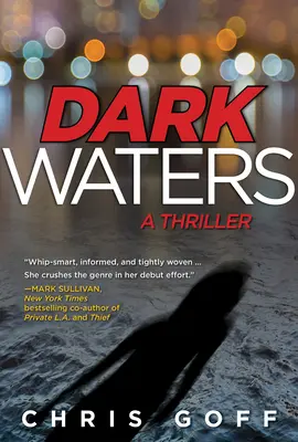 Dunkle Gewässer - Ein Raisa-Jordan-Thriller - Dark Waters - A Raisa Jordan Thriller