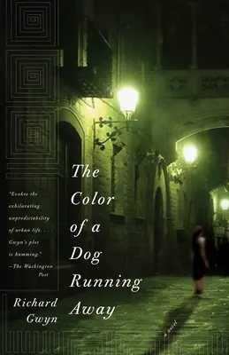 Die Farbe eines Hundes, der wegläuft - The Color of a Dog Running Away