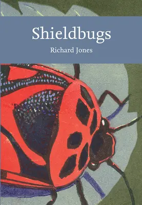 Schildwanzen - Shieldbugs