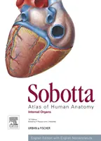 Sobotta Atlas der menschlichen Anatomie, Bd. 2, 15. Auflage, Englisch - Innere Organe - Sobotta Atlas of Human Anatomy, Vol. 2, 15th ed., English - Internal Organs