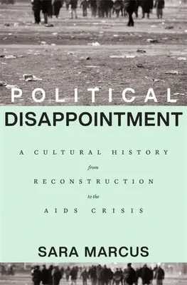 Politische Enttäuschung: Eine Kulturgeschichte vom Wiederaufbau bis zur AIDS-Krise - Political Disappointment: A Cultural History from Reconstruction to the AIDS Crisis