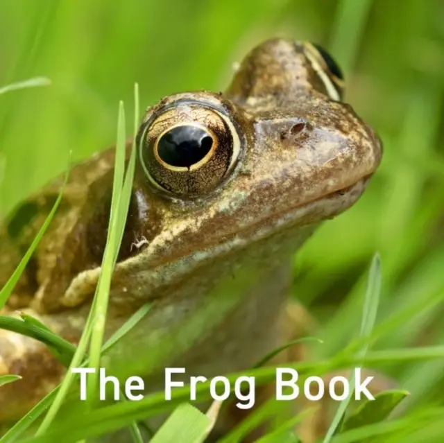 Frosch-Buch - Frog Book