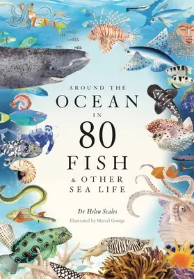 Rund um den Ozean in 80 Fischen und anderen Meeresbewohnern - Around the Ocean in 80 Fish and Other Sea Life