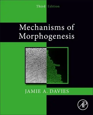 Mechanismen der Morphogenese - Mechanisms of Morphogenesis