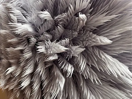 Japan: Body Perform Live