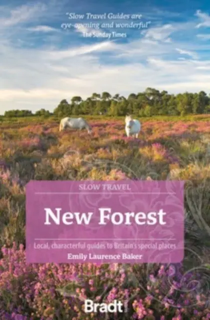 Neuer Wald: Lokale, charaktervolle Führer zu Großbritanniens besonderen Plätzen - New Forest: Local, Characterful Guides to Britain's Special Places