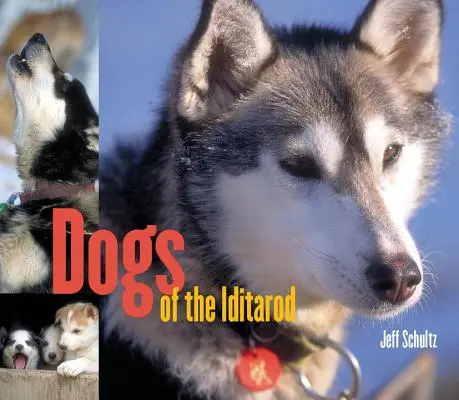 Die Hunde des Iditarod - Dogs of the Iditarod