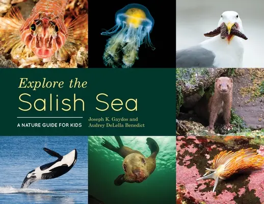 Erforsche die Salish Sea: Ein Naturführer für Kinder - Explore the Salish Sea: A Nature Guide for Kids