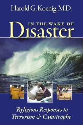 Im Gefolge der Katastrophe: Religiöse Antworten auf Terrorismus und Katastrophen - In the Wake of Disaster: Religious Responses to Terrorism & Catastrophe