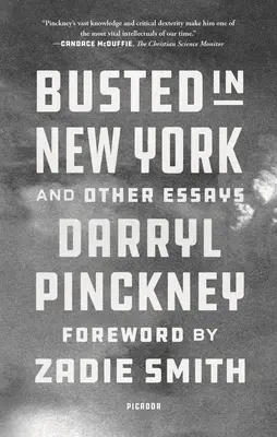 Verhaftet in New York und andere Essays - Busted in New York and Other Essays